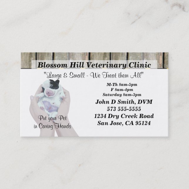 Veterinarian Business Card (Front)