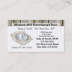 Veterinarian Business Card
