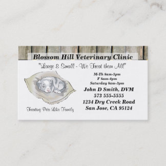 Veterinarian Business Card
