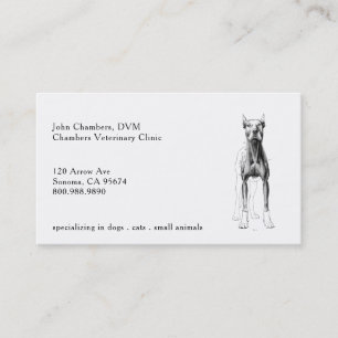 Veterinarian Business Cards
