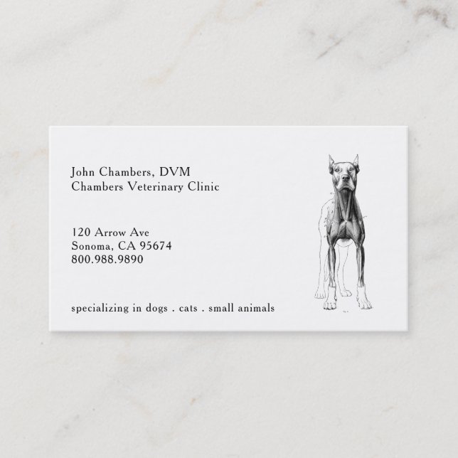 Veterinarian Business Cards (Front)