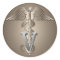 Veterinarian Caduceus