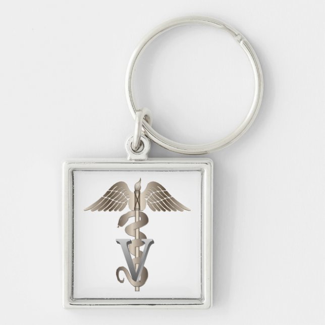 Veterinarian Caduceus Key Ring (Front)