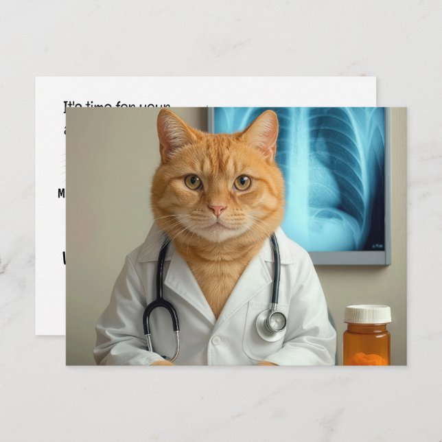 Veterinarian Cat With Stethoscope Postcard (Front/Back)