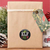 Veterinarian Christmas Elf Veterinary Technician