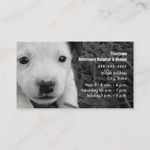 Veterinarian & Kennel Business Card - Jack Russell