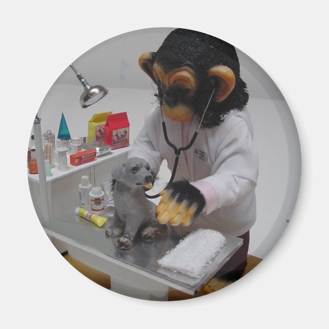 Veterinarian Magnet (Front)