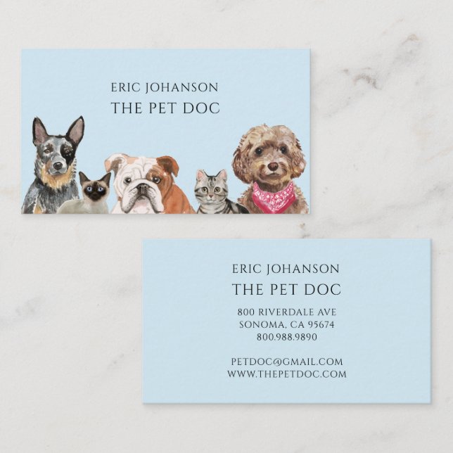 Veterinarian Pet Doctor Business Card (Front/Back)