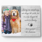 Veterinarian Pet Photo Veterinary Appreciation