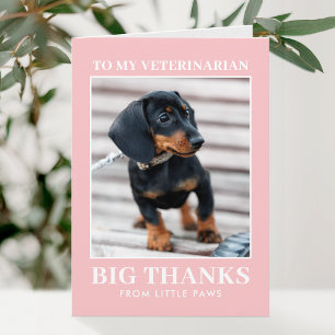 Veterinarian Thank You Pet Dog Photo XOXO Pink Card