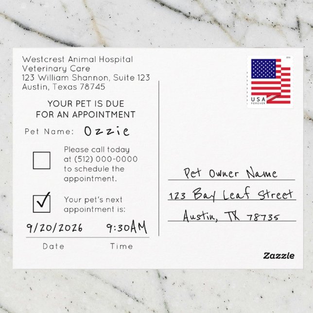 Veterinary Appointment Reminder Postcard (Creator Uploaded)
