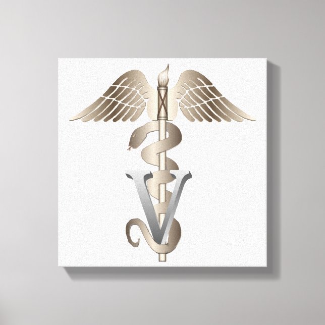 Veterinary Caduceus Canvas Print (Front)