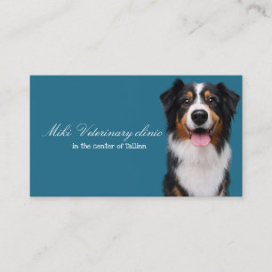 Veterinary clinic Business Card