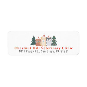 Veterinary Clinic Pet Business Christmas Address