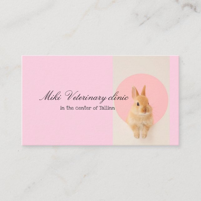 Veterinary clinic Pink Rabbit Business Card (Front)