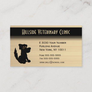 Veterinary Clinic w Appointment Area on Back Card