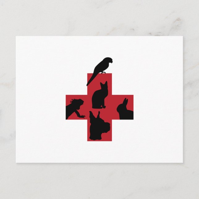 VETERINARY LOGO POSTCARD (Front)