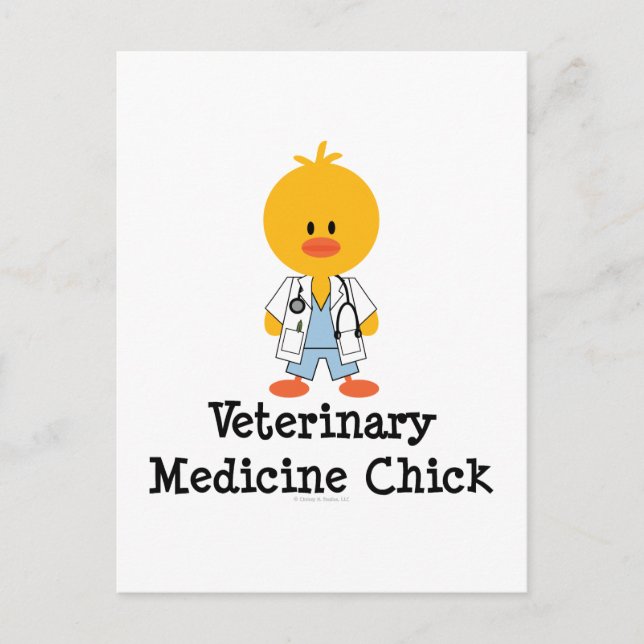 Veterinary Medicine Chick Postcard (Front)