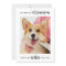 Veterinary Personalised Pet Dog Photo Veterinarian