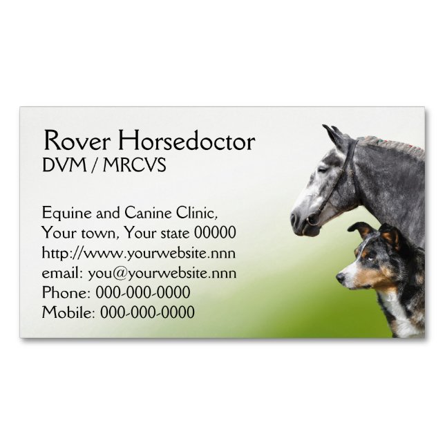 Veterinary practice horses and dogs magnetic business card (Front)