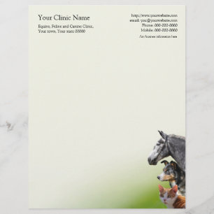 Veterinary surgeon business letterhead
