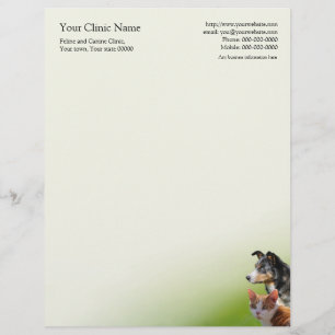 Veterinary surgeon business letterhead template