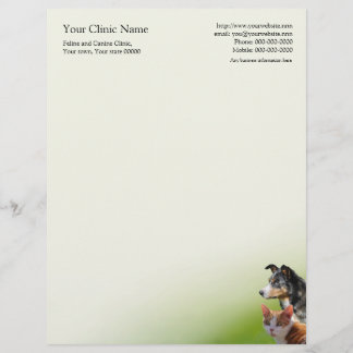 Veterinary surgeon business letterhead template