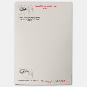 " Veterinary Tech Notes" Post-it Notes