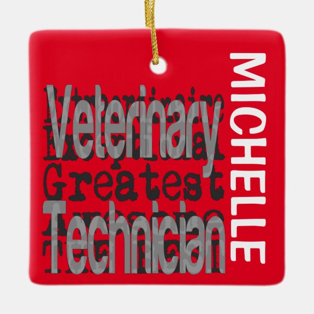Veterinary Technician Extraordinaire CUSTOM Ceramic Ornament (Front)