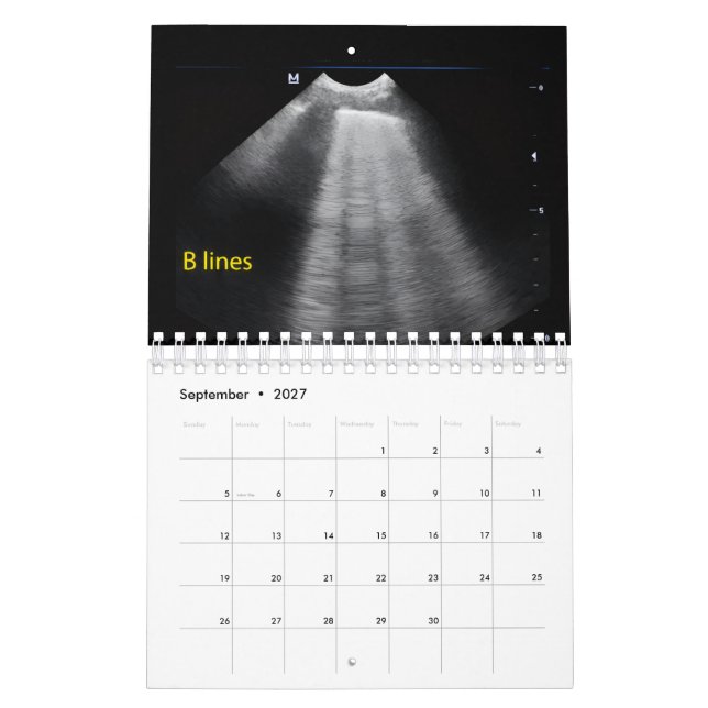 Veterinary Ultrasound Calendar (Sep 2027)