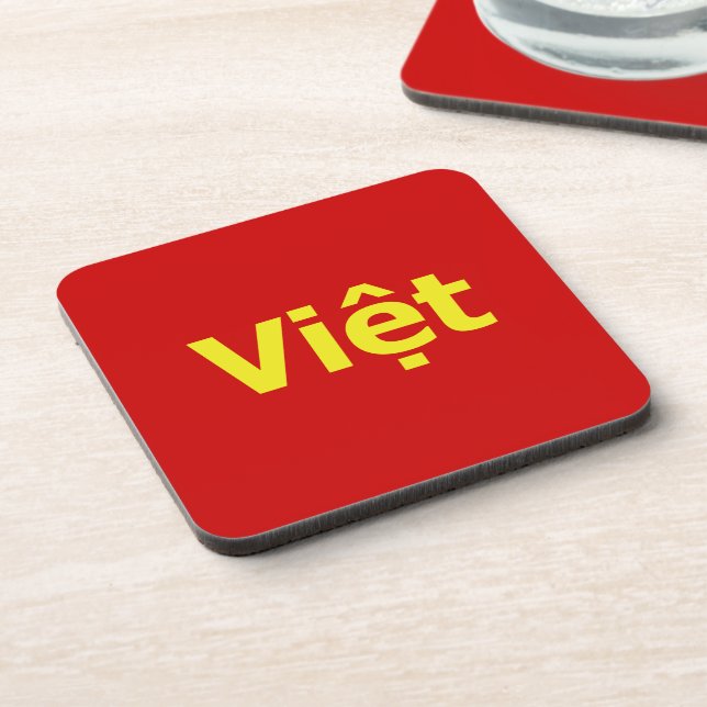 Việt Coaster (Left Side)