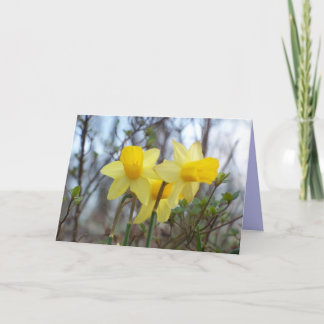 Via, Veritas, Vita Card