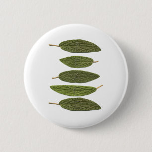VIBIRNUM leaves PEACE 6 Cm Round Badge