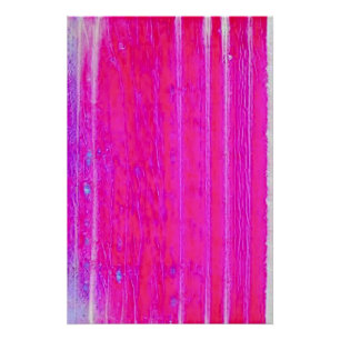Vibrant Abstract Pink and Purple Stripes Art Poster