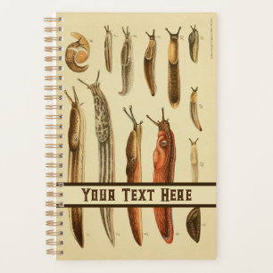 Vibrant Antique Slug Illustration Natural History Planner