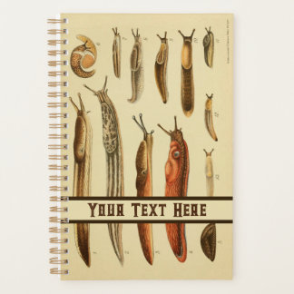Vibrant Antique Slug Illustration Natural History Planner