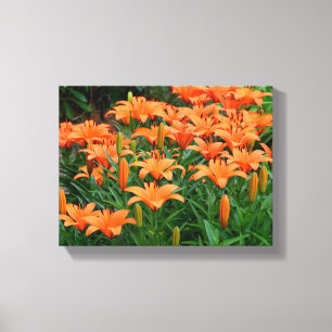 Vibrant Asian Lilies  Canvas Print