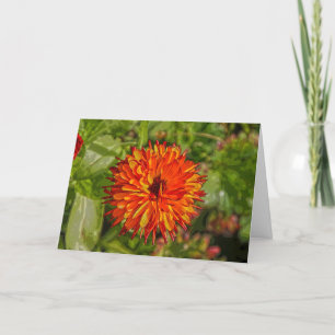 Vibrant Birthday Card