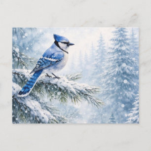Vibrant Blue Jay Bird in Snowy Winter Forest Water Postcard