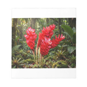 Vibrant Botanical Ginger Blossom Coffee Mug Notepad