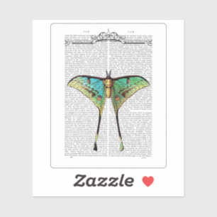 Vibrant Butterfly