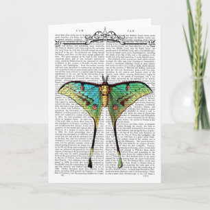 Vibrant Butterfly Card