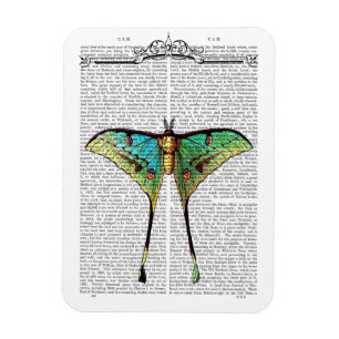 Vibrant Butterfly Magnet