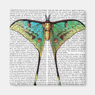 Vibrant Butterfly Magnet