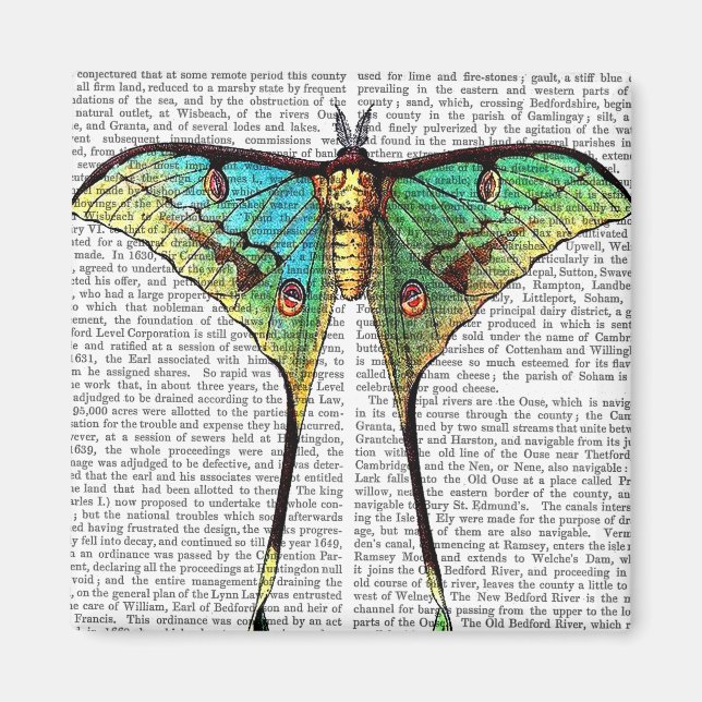 Vibrant Butterfly Magnet (Front)