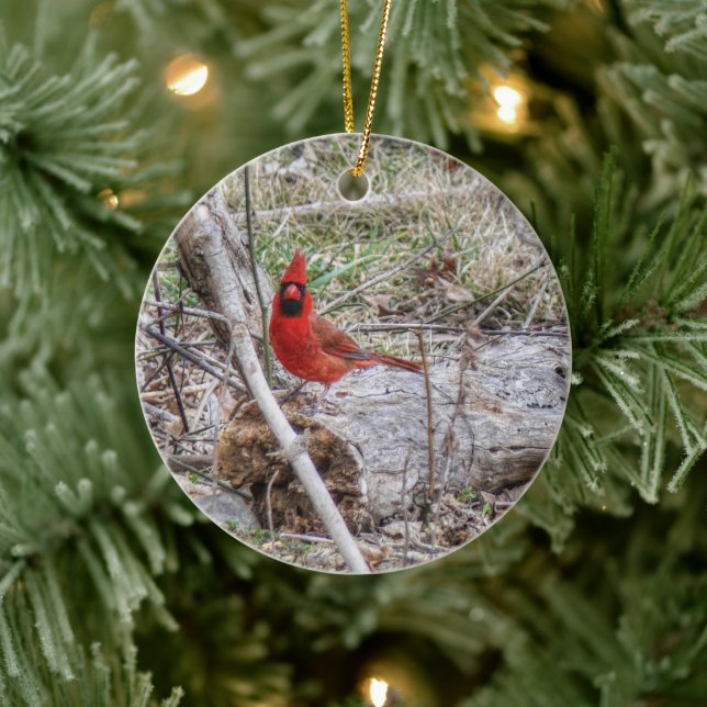 Vibrant Cardinal Ceramic Tree Decoration (Tree)