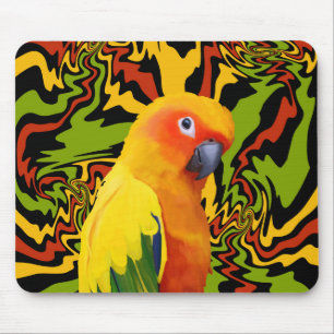 Vibrant Colorful Sun Conure Parrot Mouse Pad