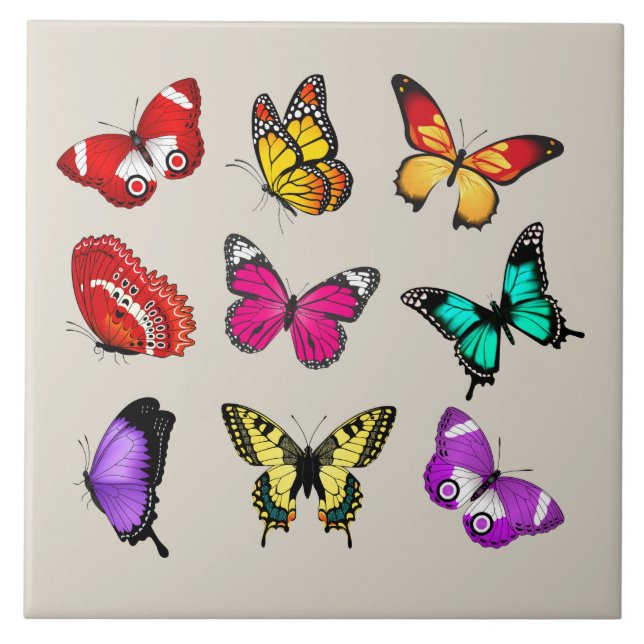 Vibrant colour Butterflies Tile (Front)
