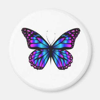 vibrant colour butterfly  magnet