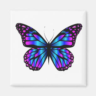 vibrant colour butterfly  magnet